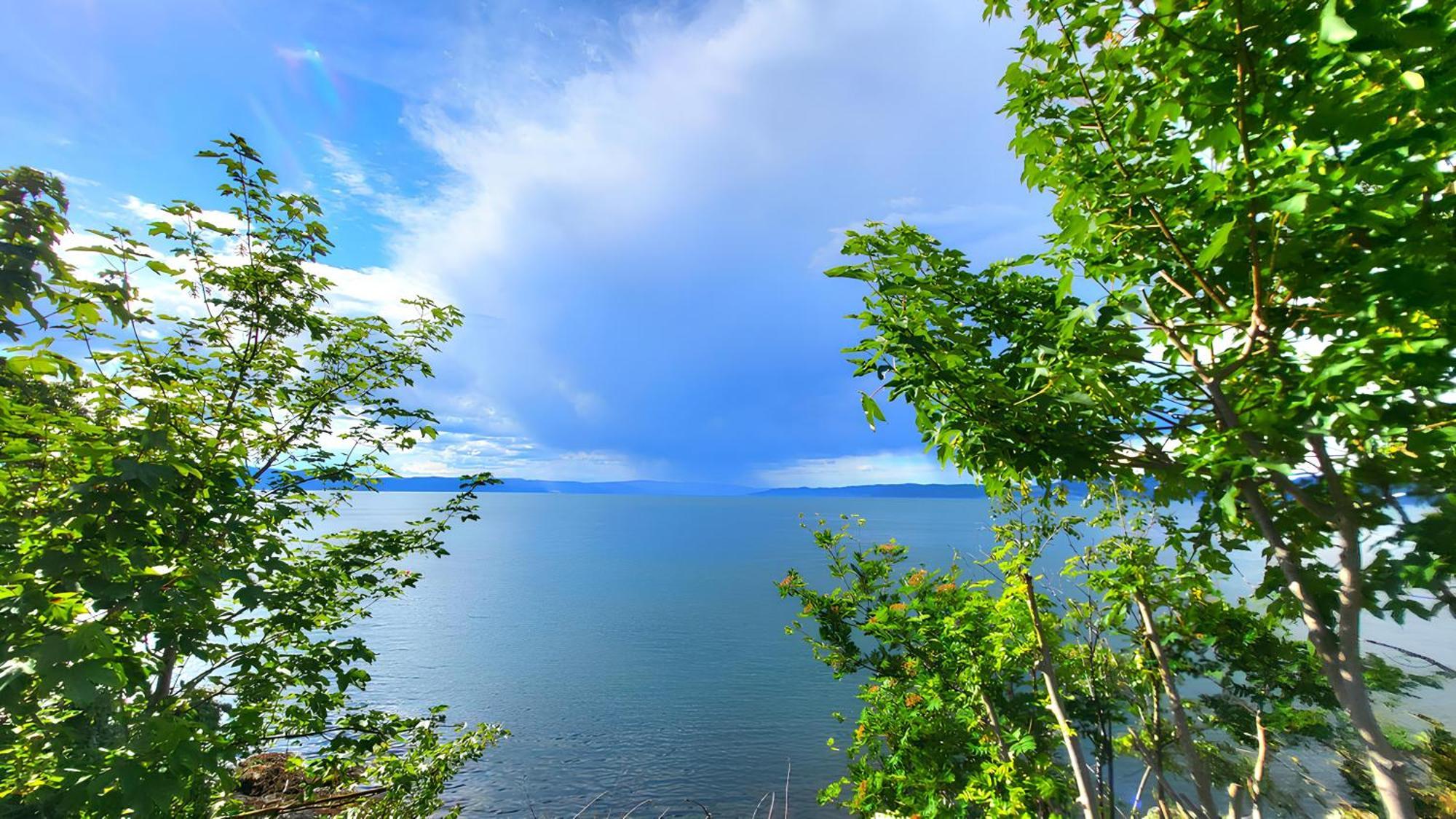Villa Ocean Side House, Sea View, Free Parking ! Trondheim Esterno foto